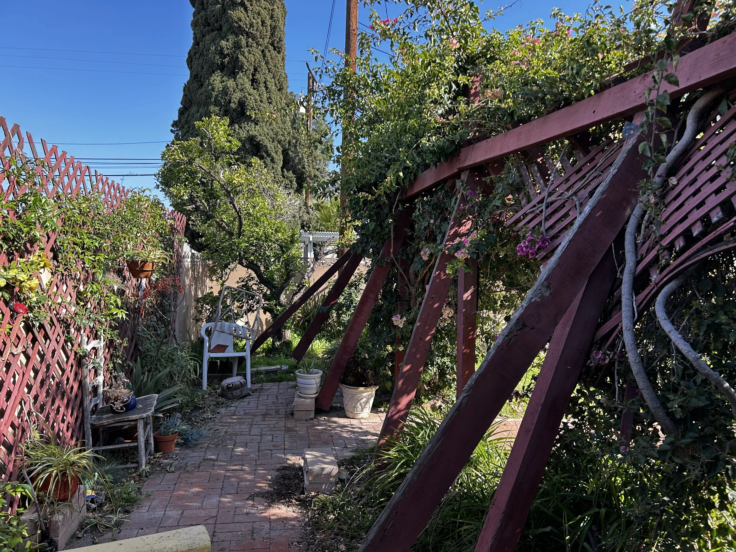 pergola_1.jpeg