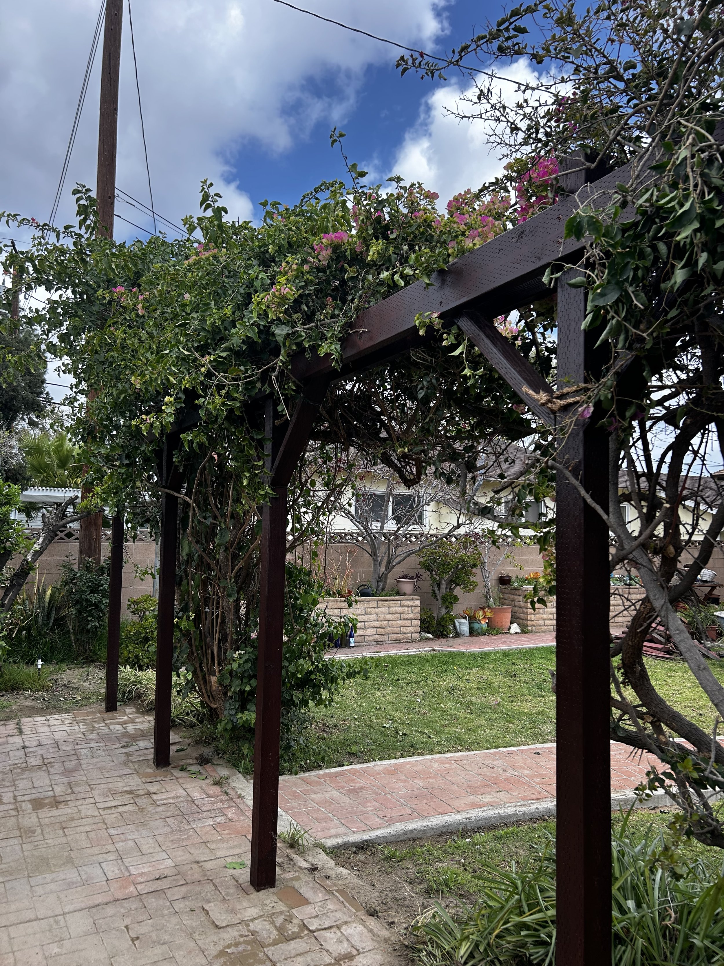 pergola_4.jpeg