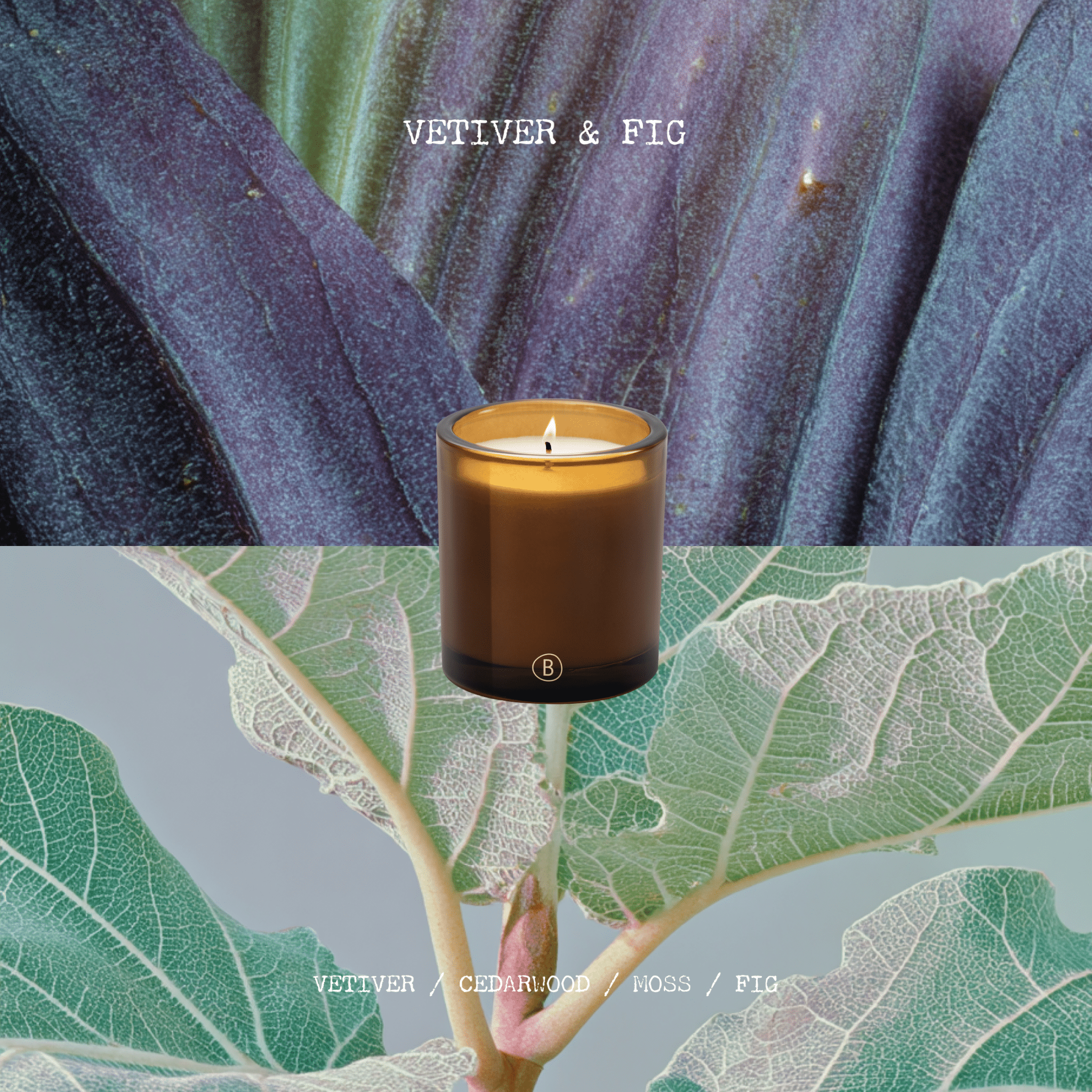 black-blaze-vetiver-fig-scented-candle-1164691.png