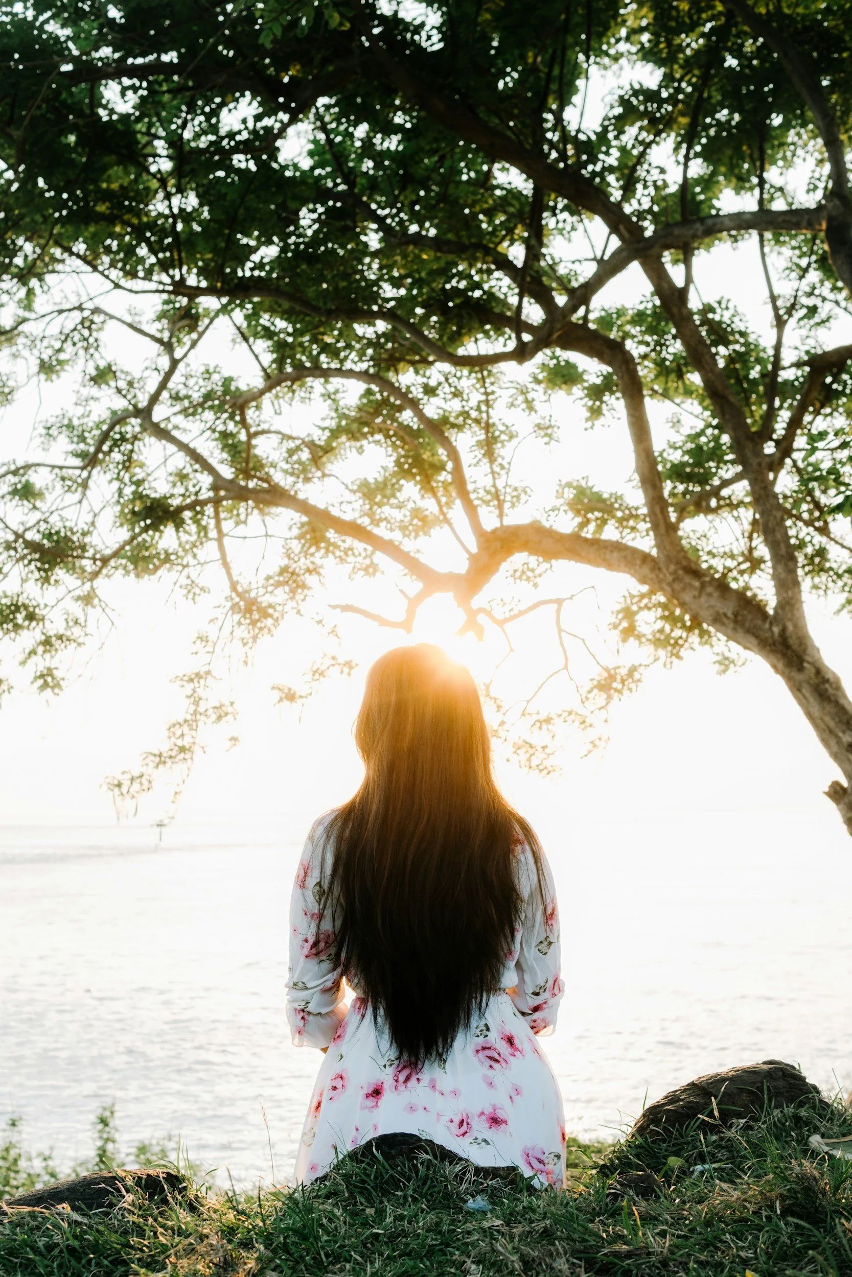 Woman sitting beneath a tree beside the water at sunset.