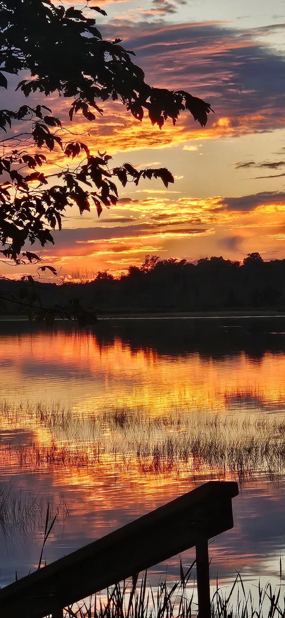 A scenic sunset over a calm body of water with reflections of the colorful sky, silhouettes of trees and foliage, and a wooden railing in the foreground over a lake in Minnesota