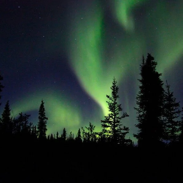 Northern lights over a pine forest representing The Northwoods Approach to somatic therapy for women in Minnesota and North Dakota.