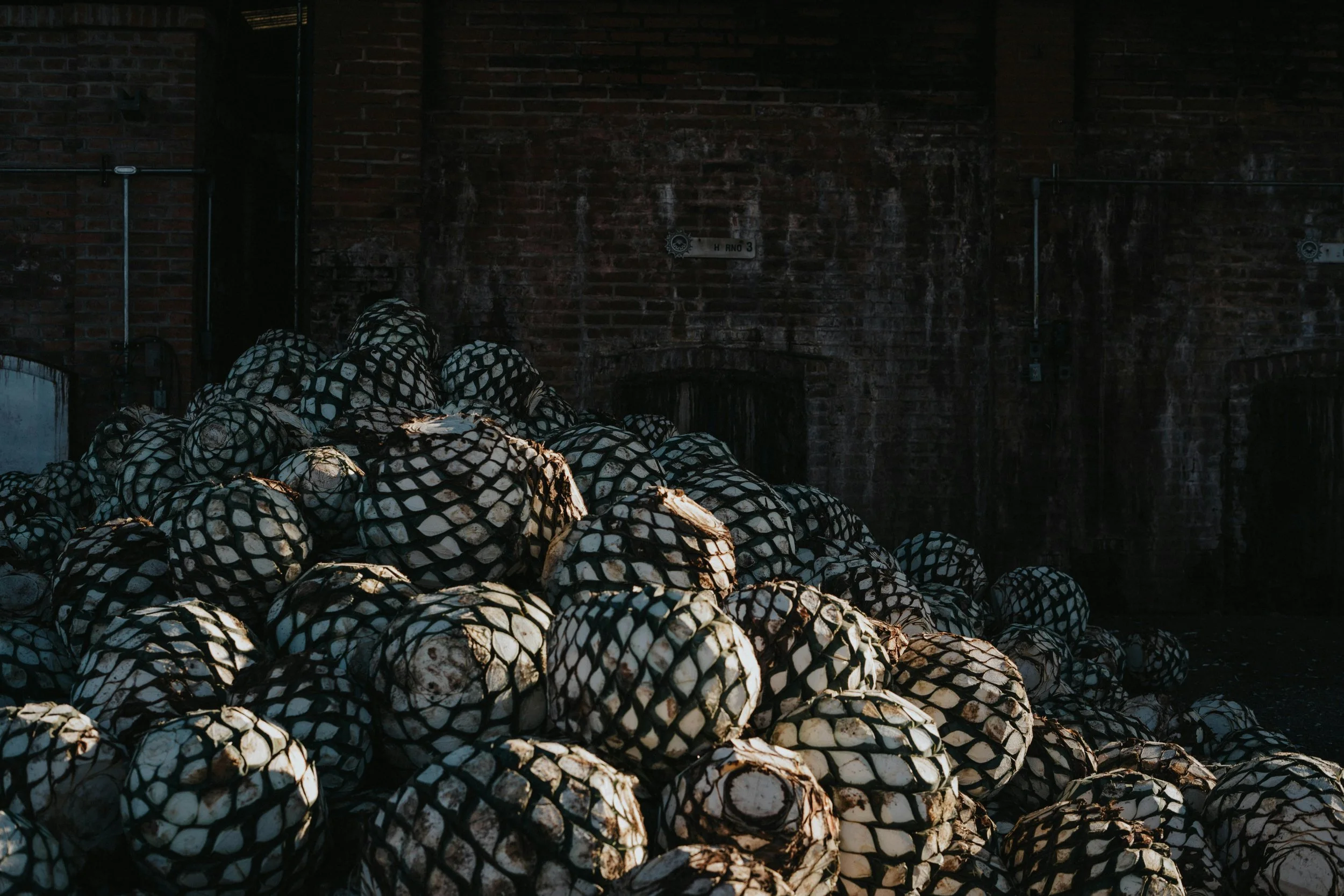Exploring Tequila: From Agave to the Perfect Mix