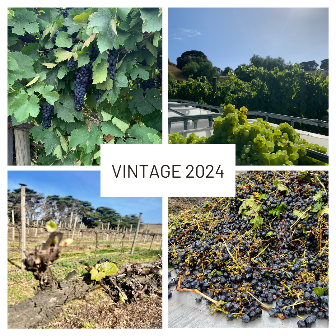 Vintage 2024 at IDL