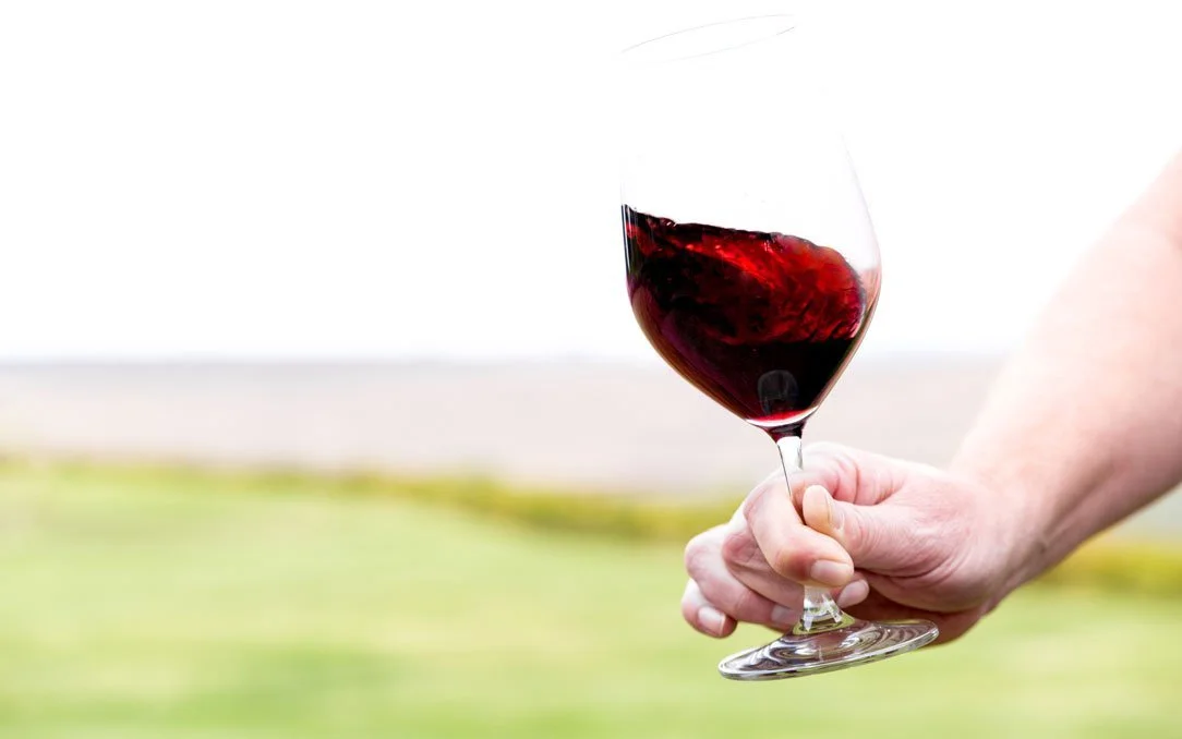 Visit Idyll Wine Co's Cellar Door