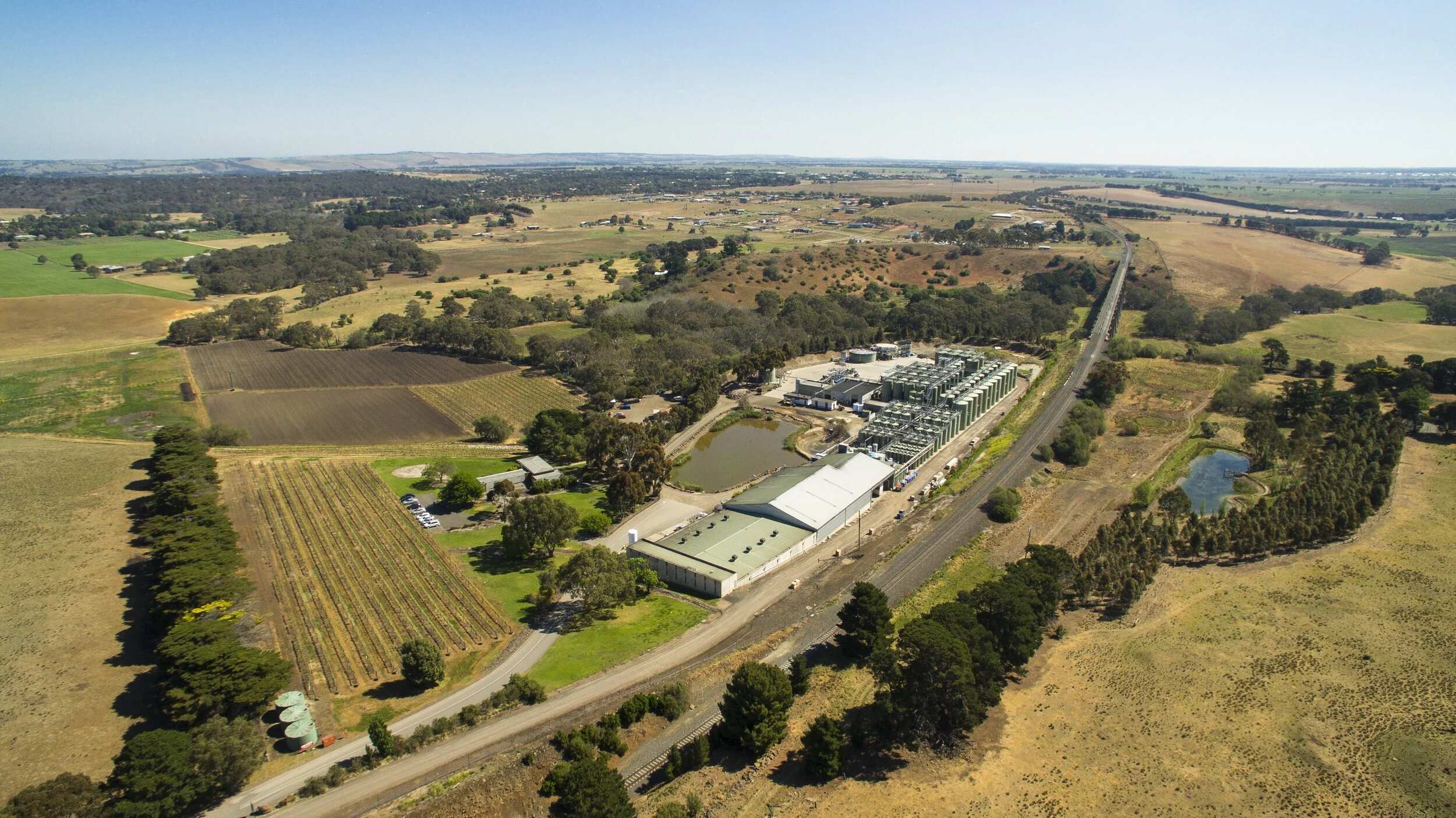 Our year in review: Idyll Wine Co