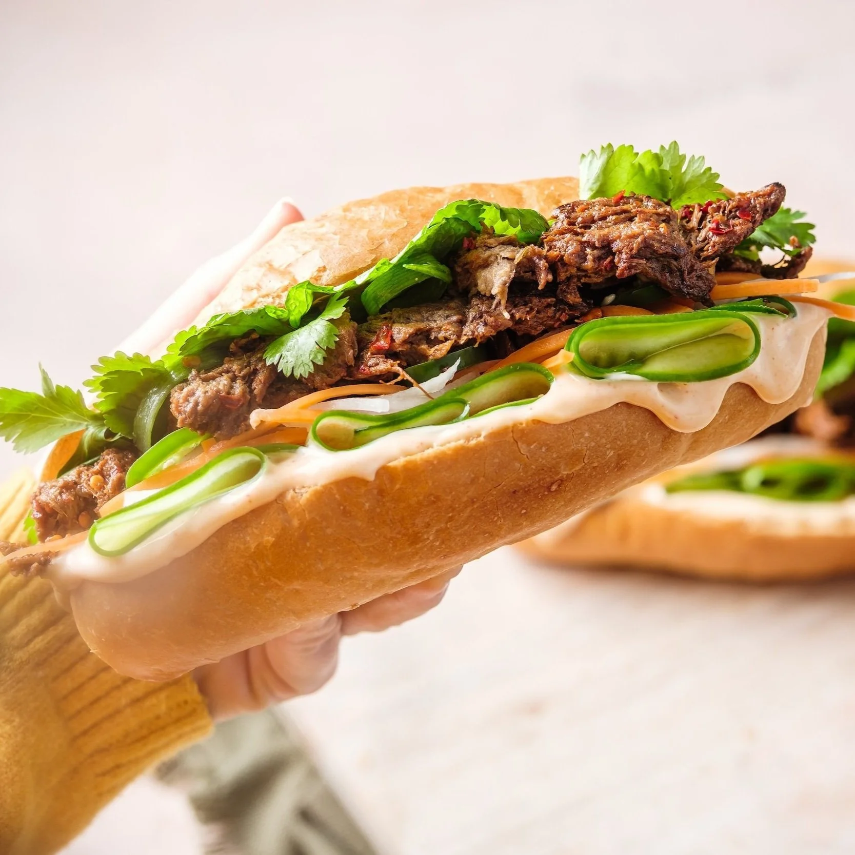 Fable-riblet-banh mi.jpg