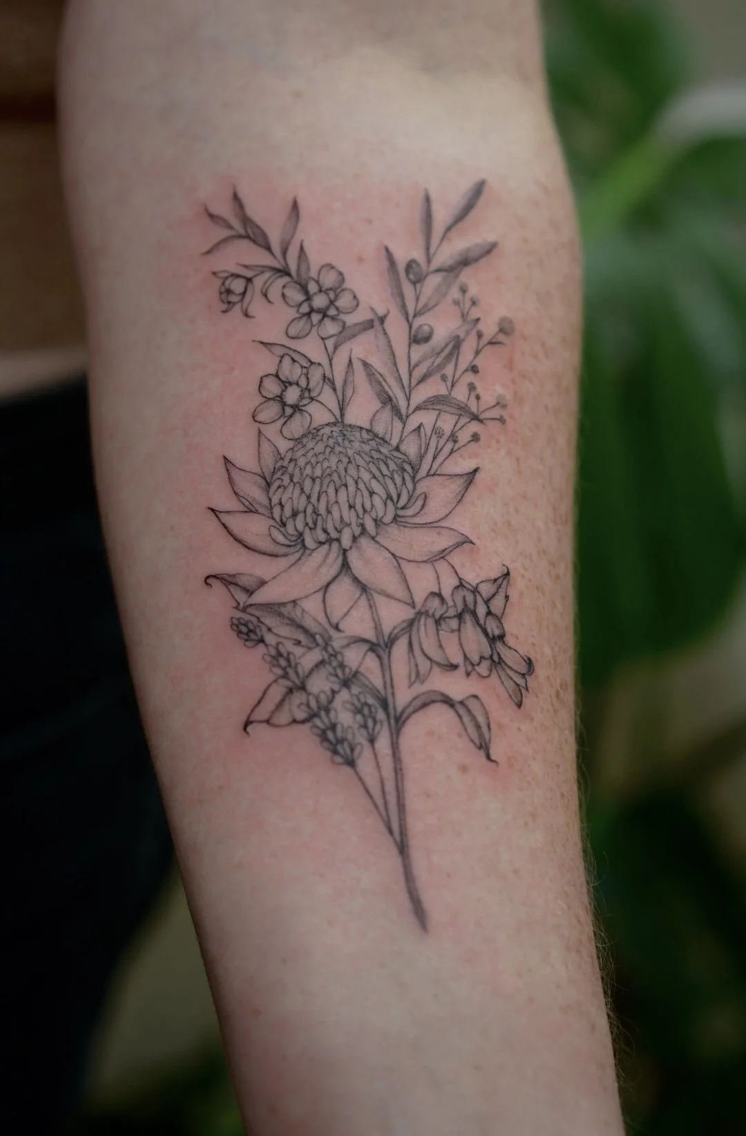 australia and new zealand native flowers tattoo.jpg