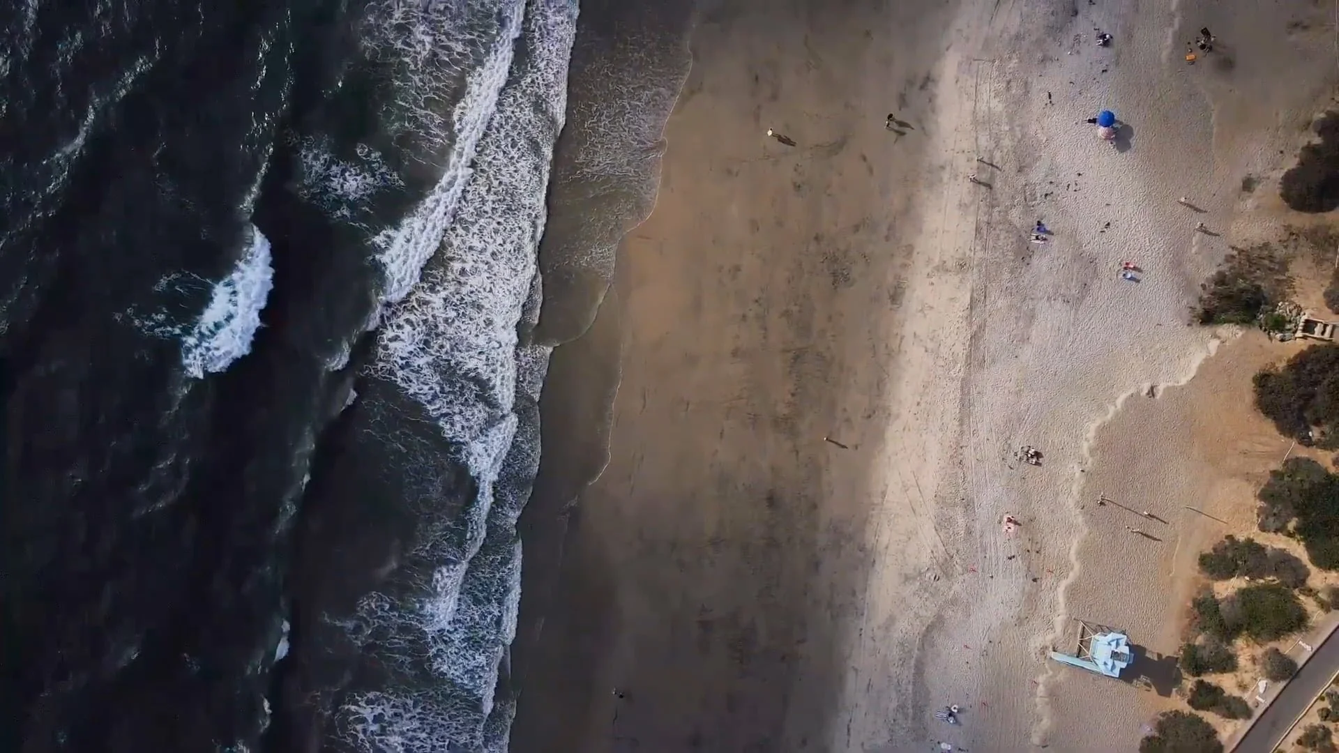 What to Look for in a Cinematic Wedding Videographer