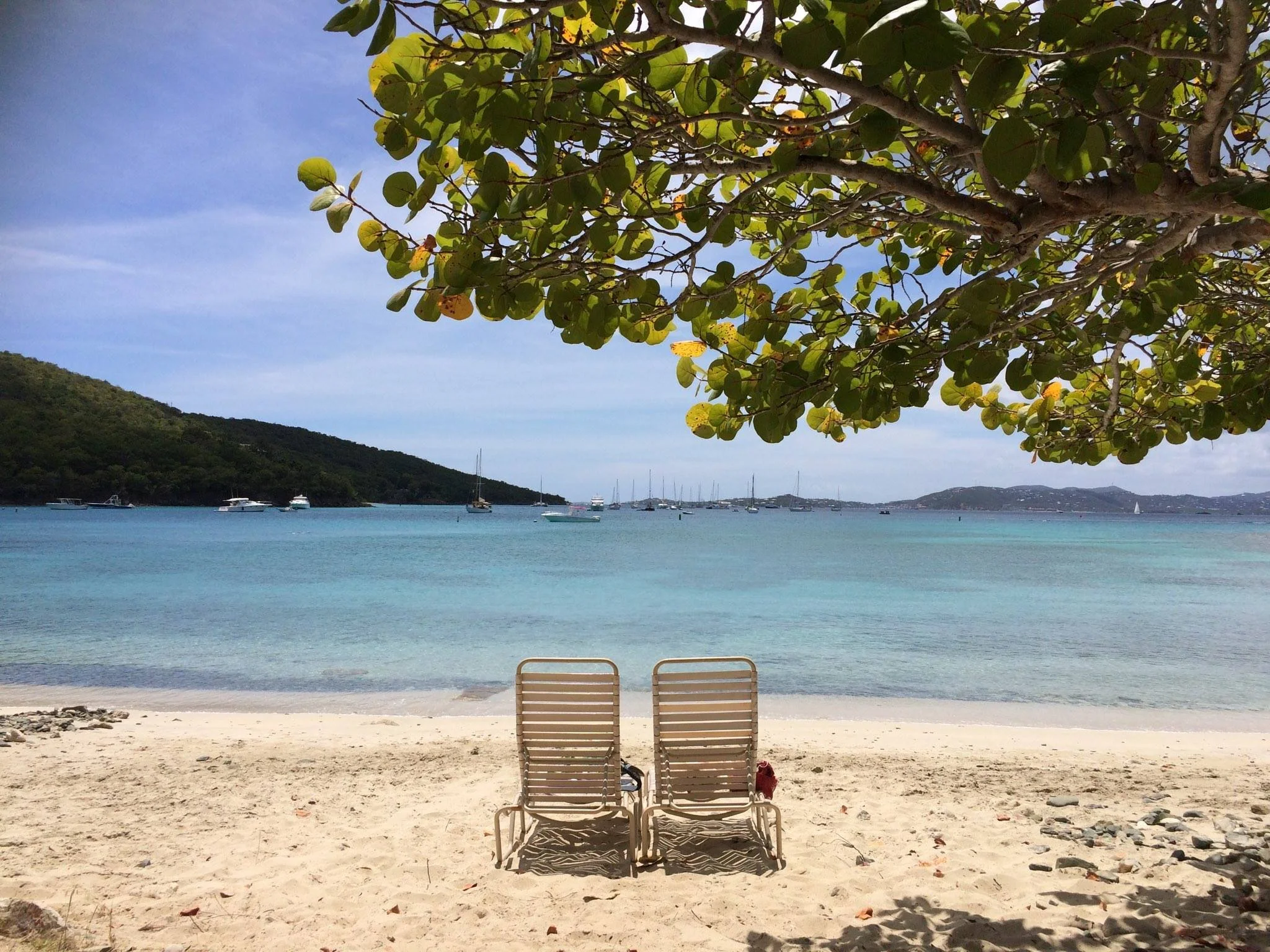 Two empty lounge chairs on a sandy beach with calm blue water and boats in the distance, shaded by a large leafy tree.