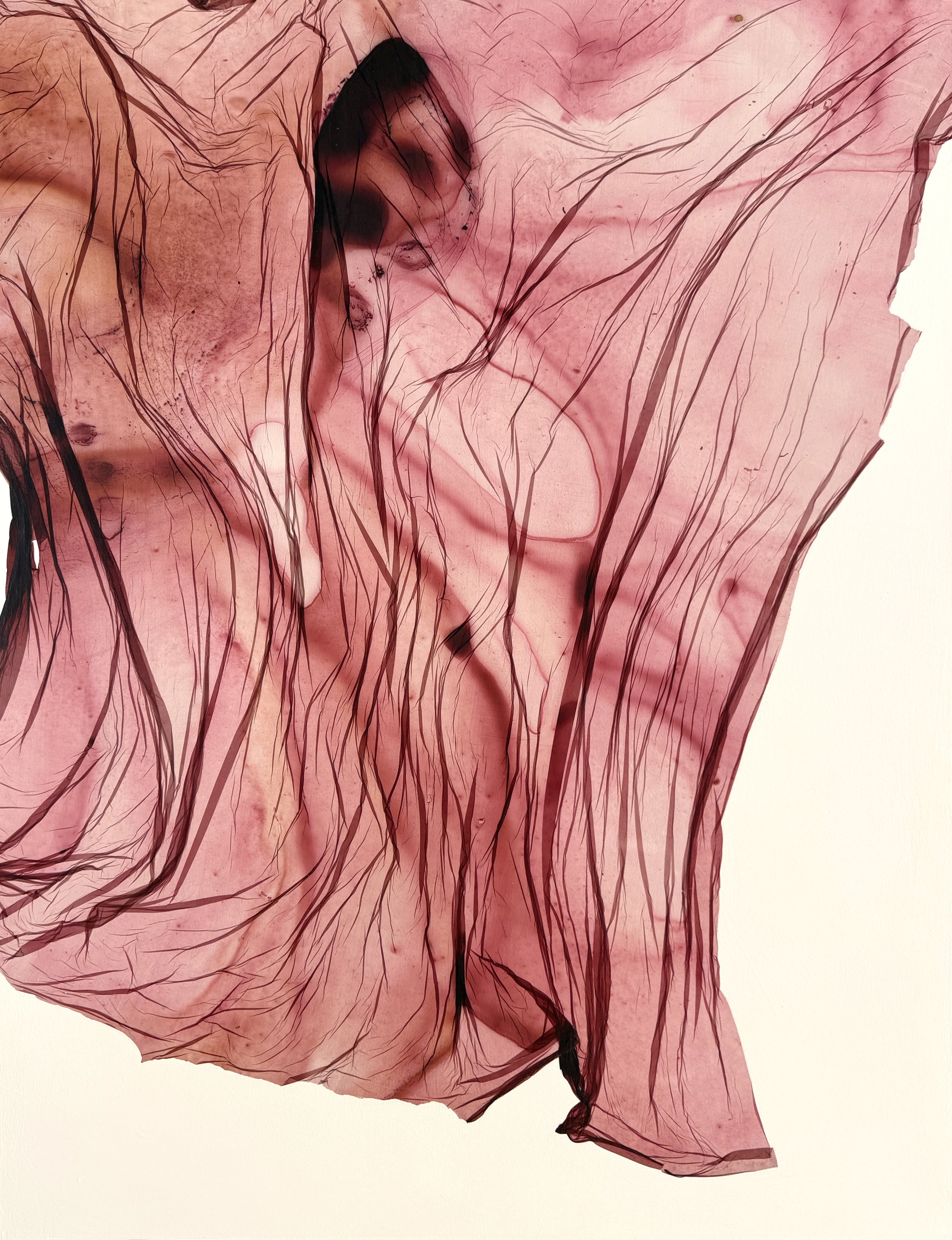 Ruby Air, 30x40"
