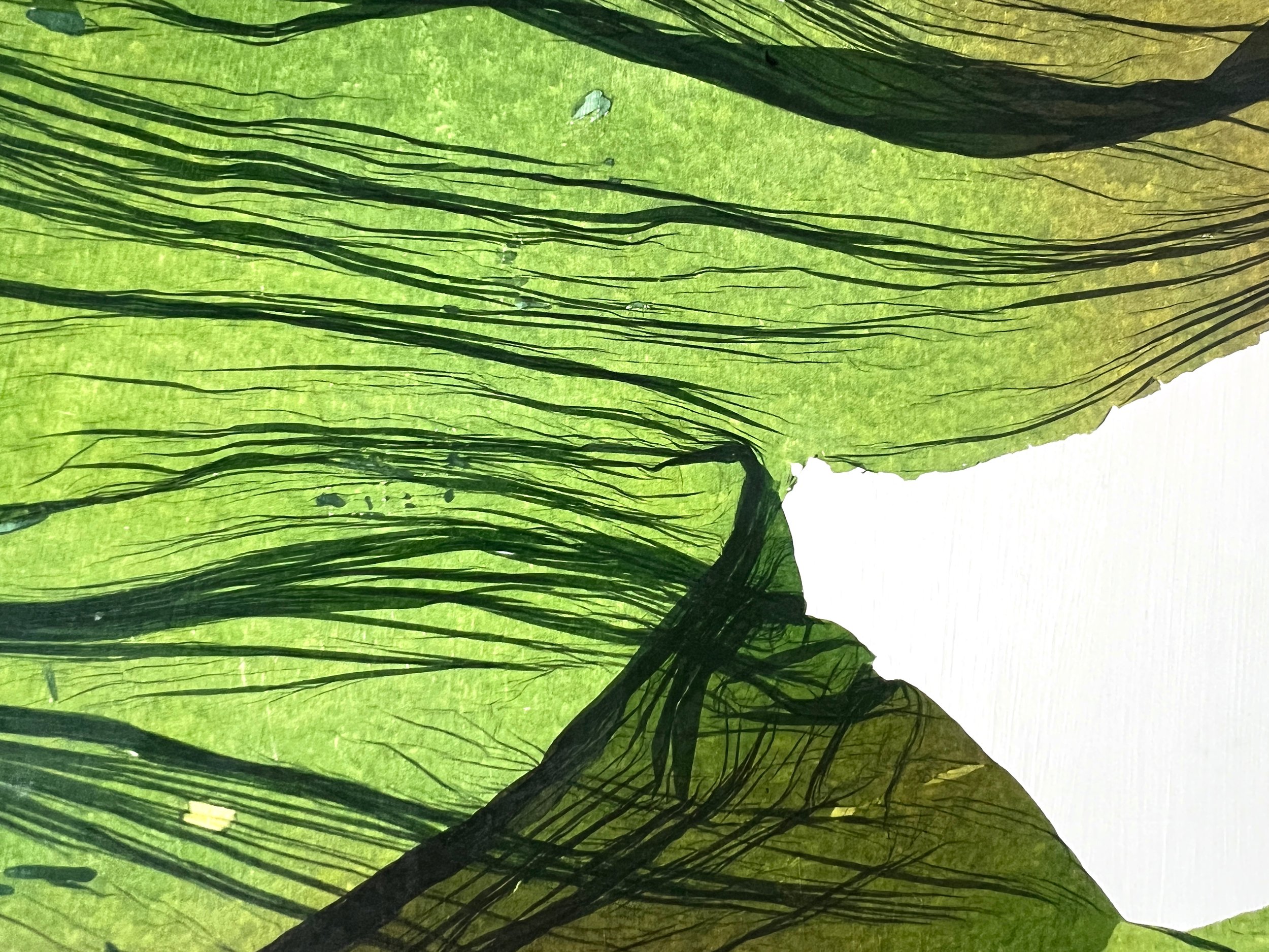 00e10fc5-f5c0-4ea6-9e3d-c3dee98ea841_ngd5ay.jpg