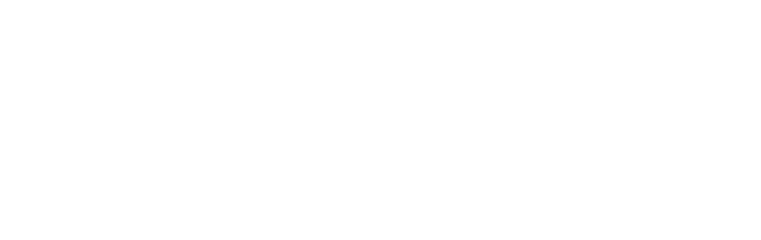 Mira Lee Skin 