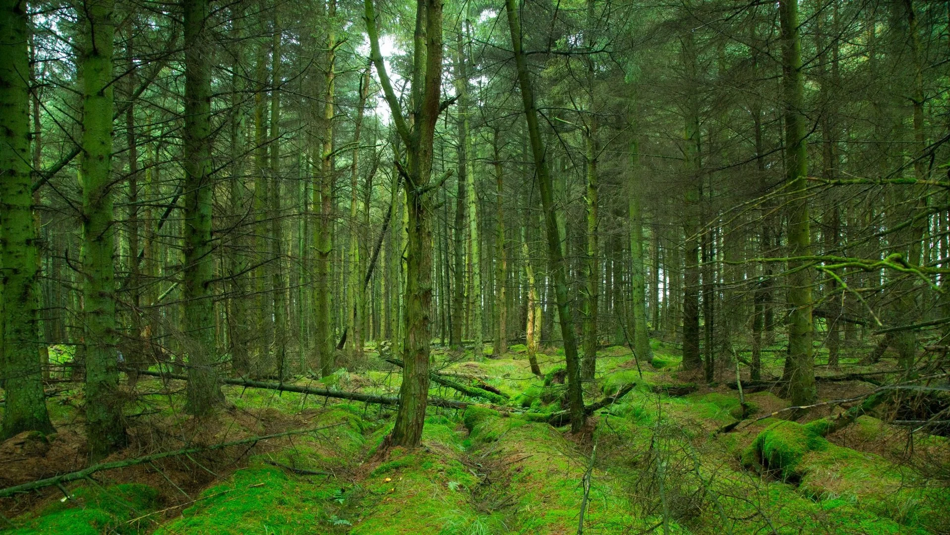 Love Your Life package