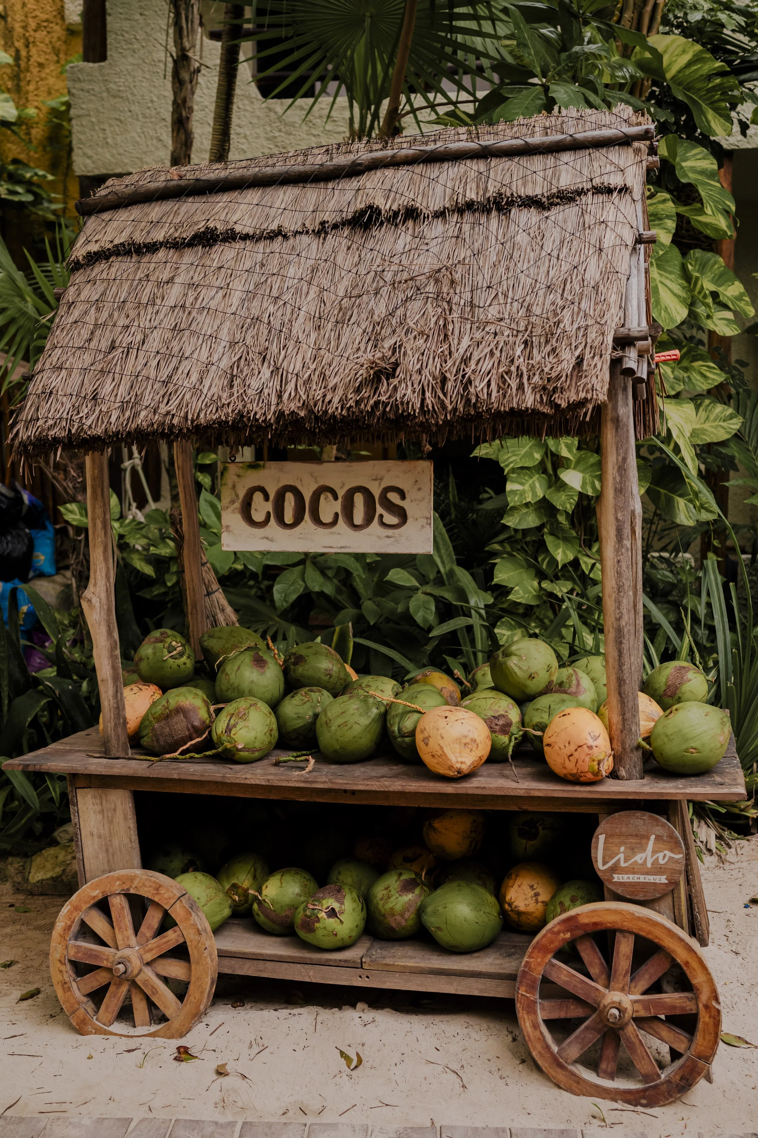 A rustic cart with a thatched roof displaying green coconuts, set against lush tropical plants, with a sign reading 'COCOS'.