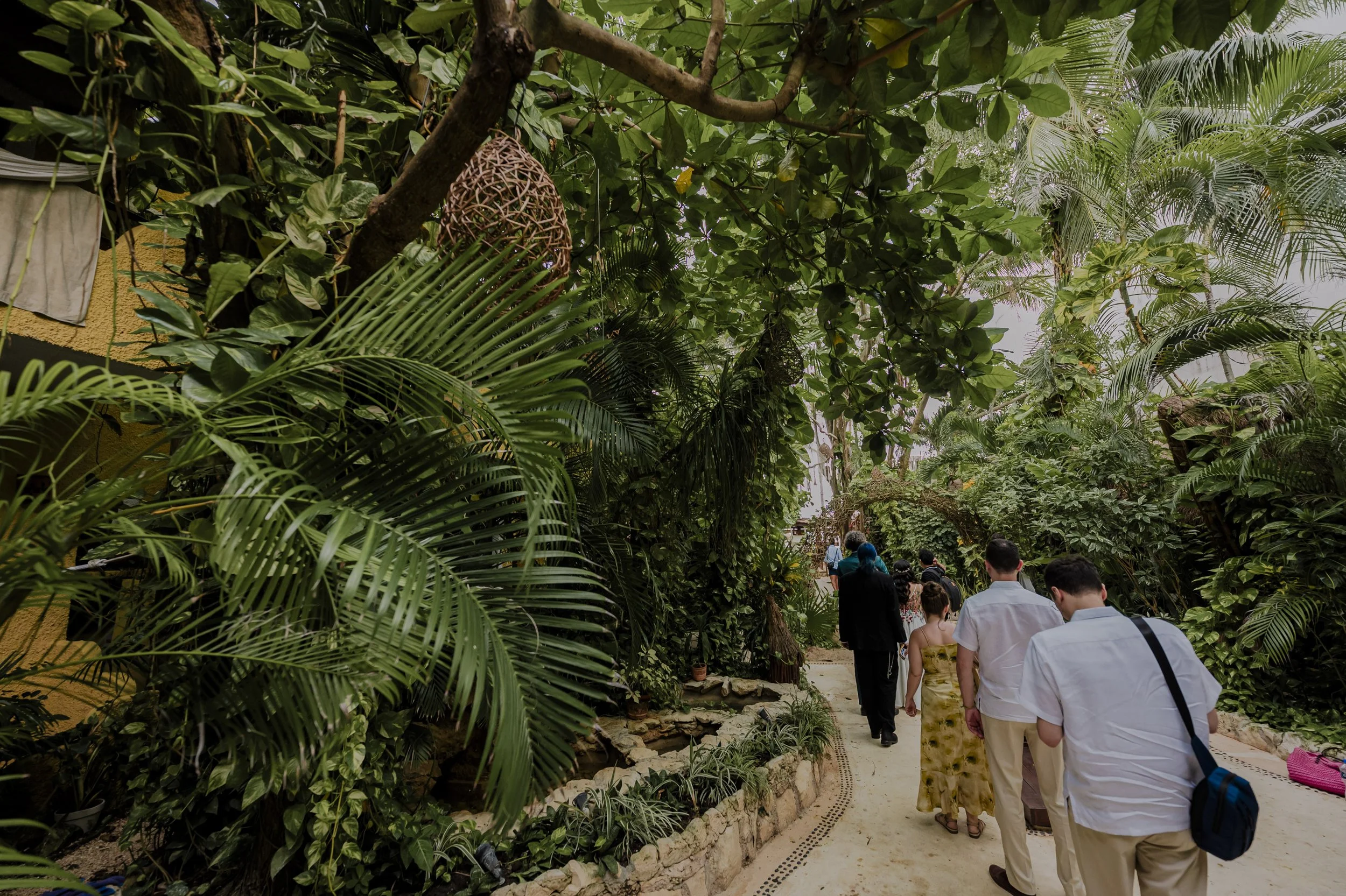 Group of people walking through a lush, dense indoor botanical garden with tropical plants and trees.