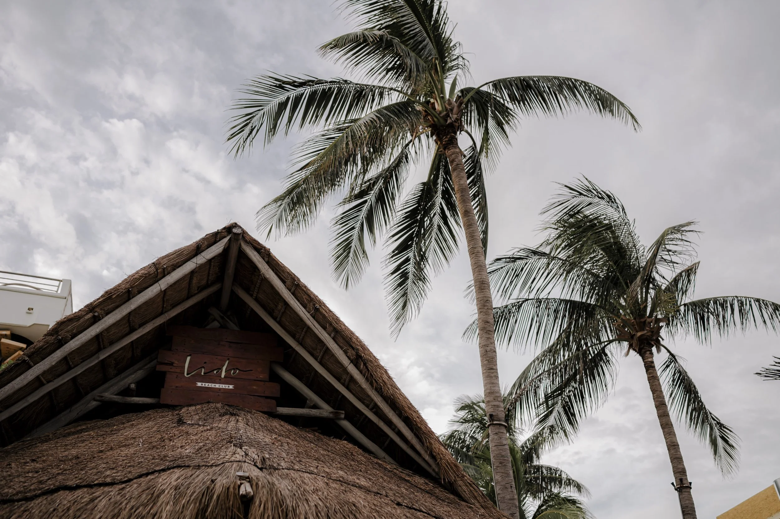 Thatched roof of a beach club building with palm trees and cloudy sky in the background.