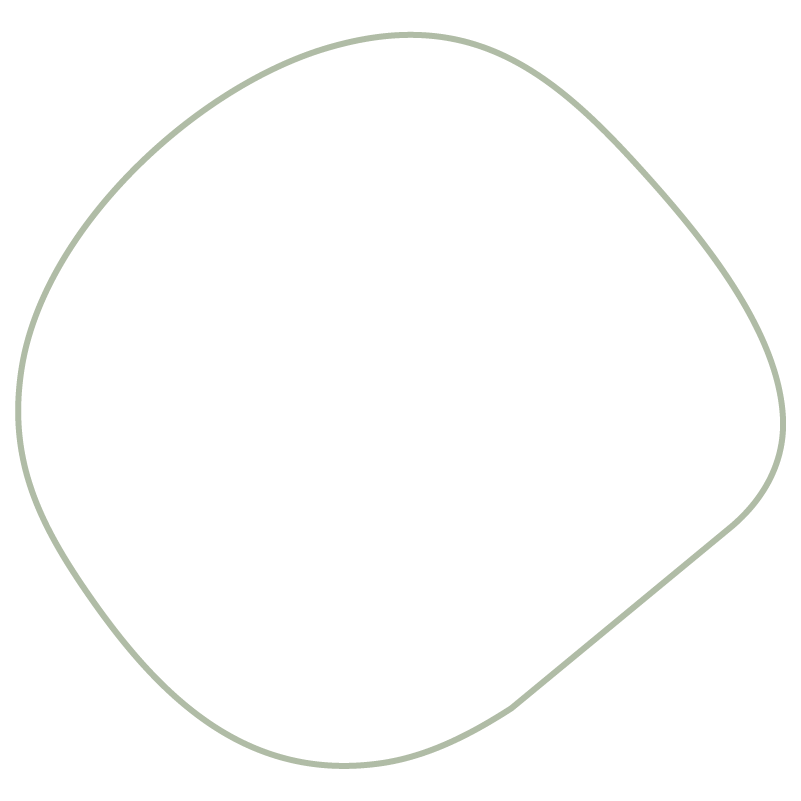 Decorative organic round shape with sage green outline.