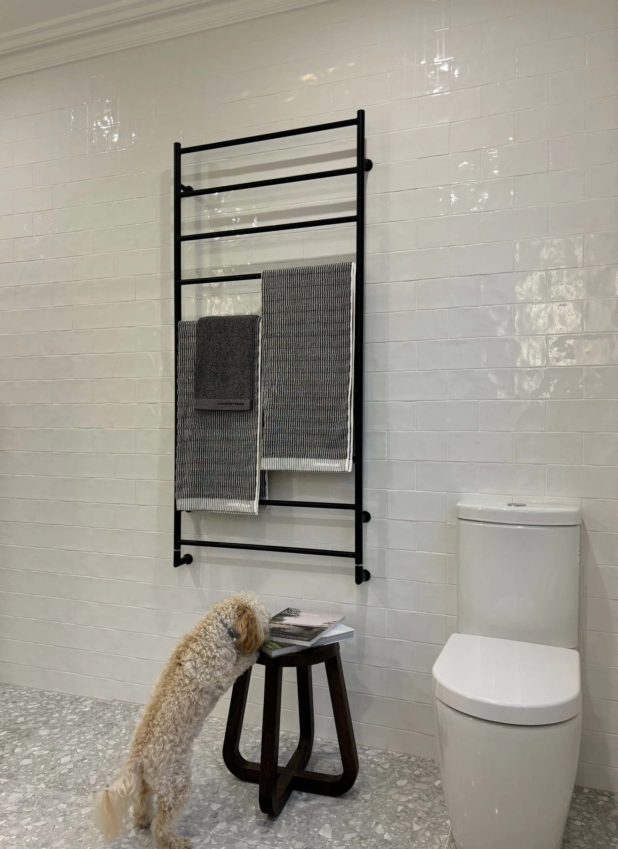 Roseville M Bath Down 9.JPG