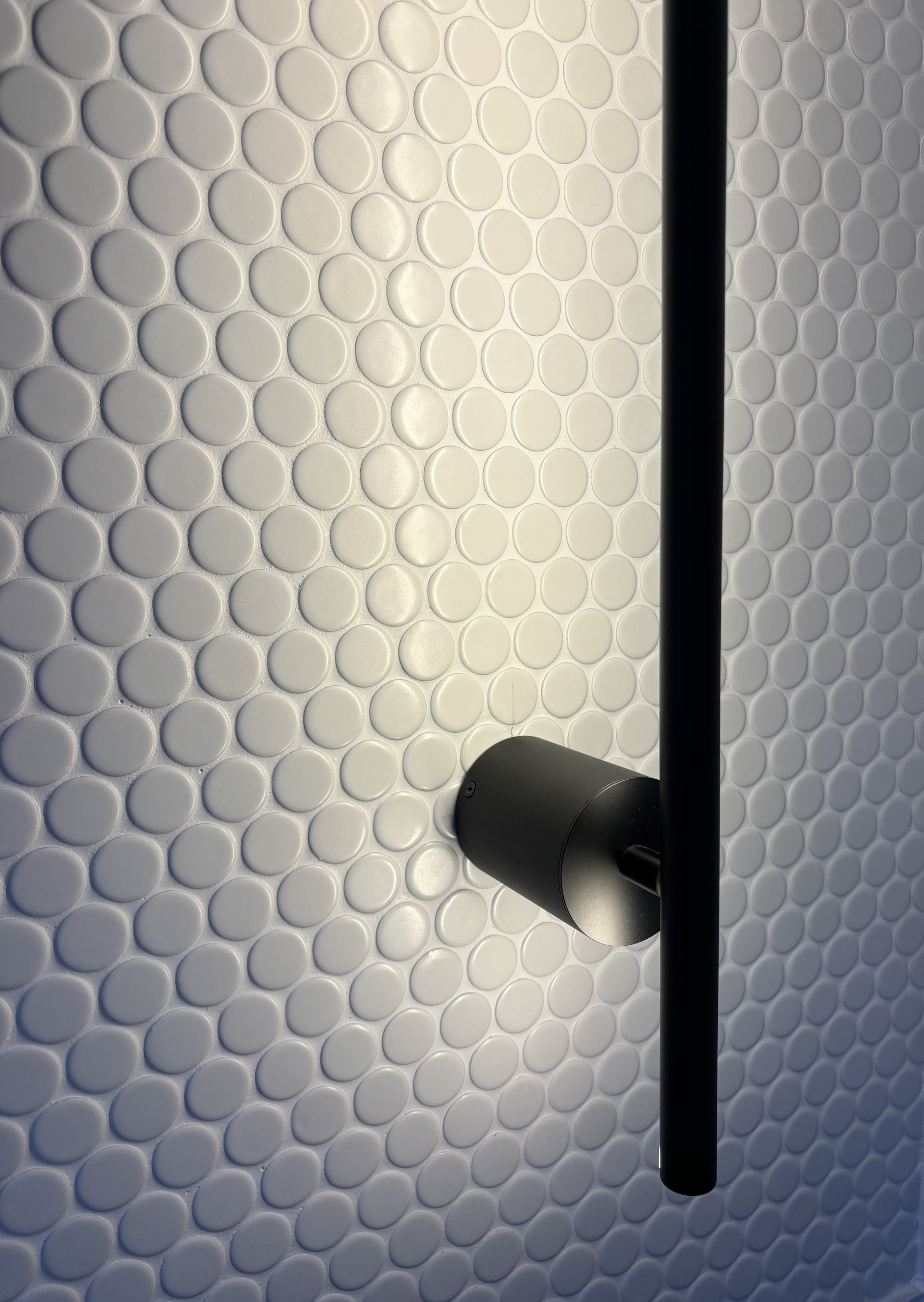 Roseville M Bath Down 6.JPG