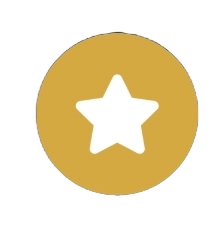 Gold medal with a white star in the center