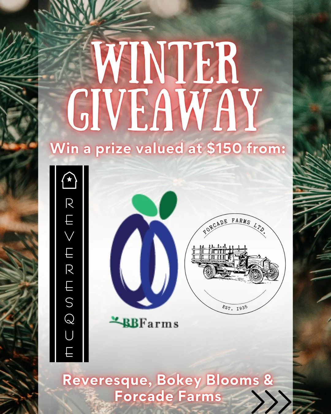 🎄Wnter Giveaway🎄

One lucky winner will receive a prize valued at $150, courtesy of 
@bokeybloomsfarms 
@reveresque  and @forcadefarms!

To enter:
Like this post and follow all 3 accounts!
Tag a friend in the comments (each tag= one entry)
Bonus: s