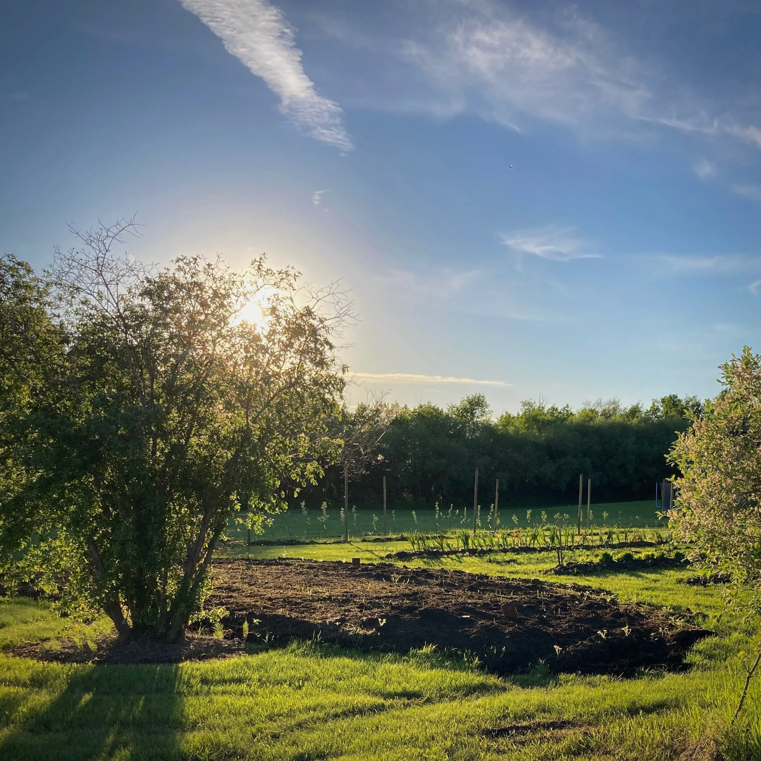 Gorgeous shots by @misschrislarson of our yard featuring pumpkin patch, apple trees, and 5 rows of flowers. Tour video coming soon!
🎃🍎🌸