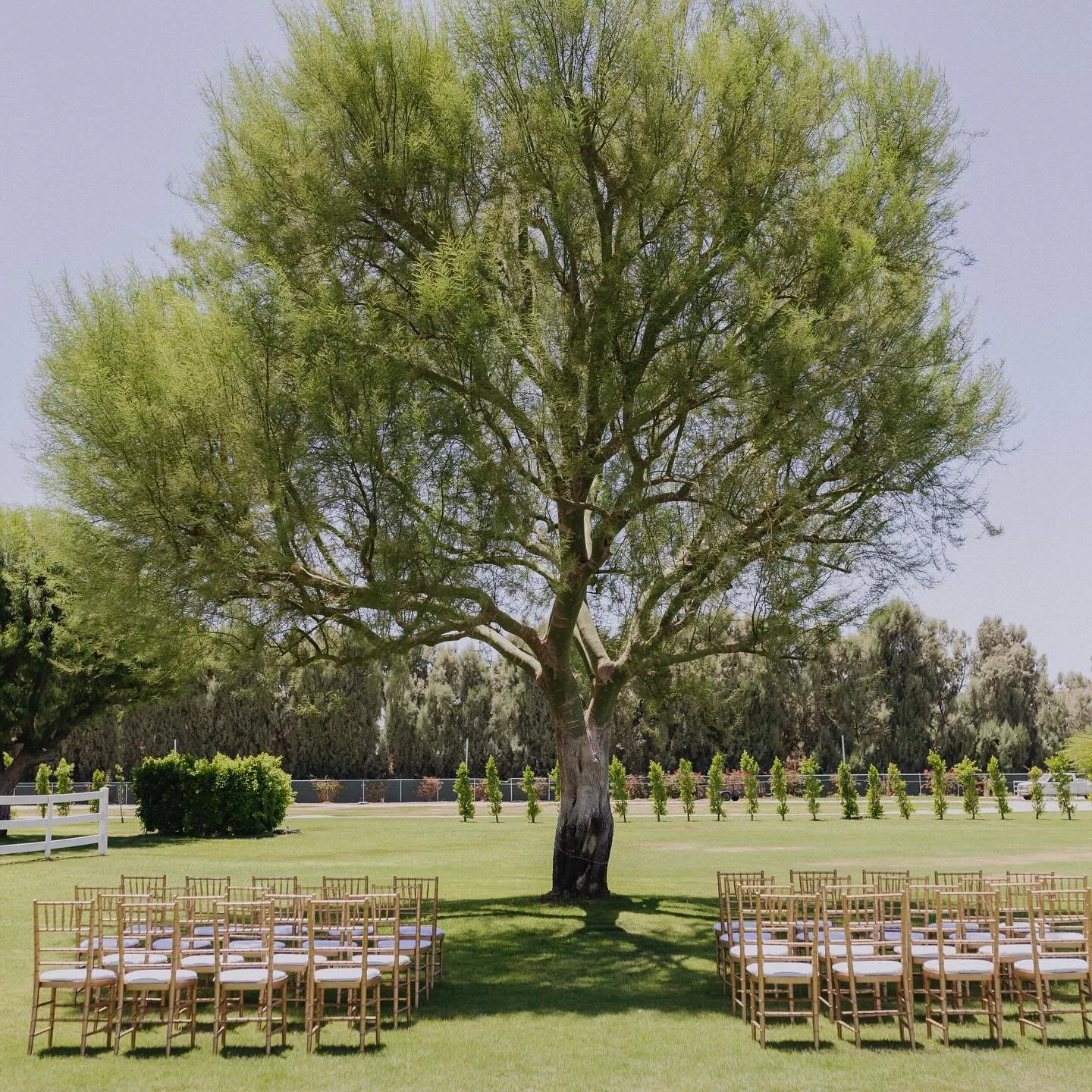 the most gorgeous ceremony location &mdash; a love story rooted in beauty 🍃

Coordination | @vowsandvisionscoordination
Venue | @zendaestate 
Videography | @flowerandoakfilms 
Photography | @zaya_event 
Rentals | @sigpartyrentals 
Floral Pillars | @
