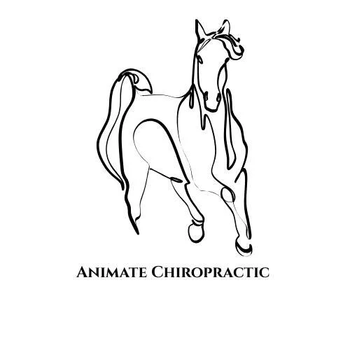 ANIMATE CHIROPRACTIC