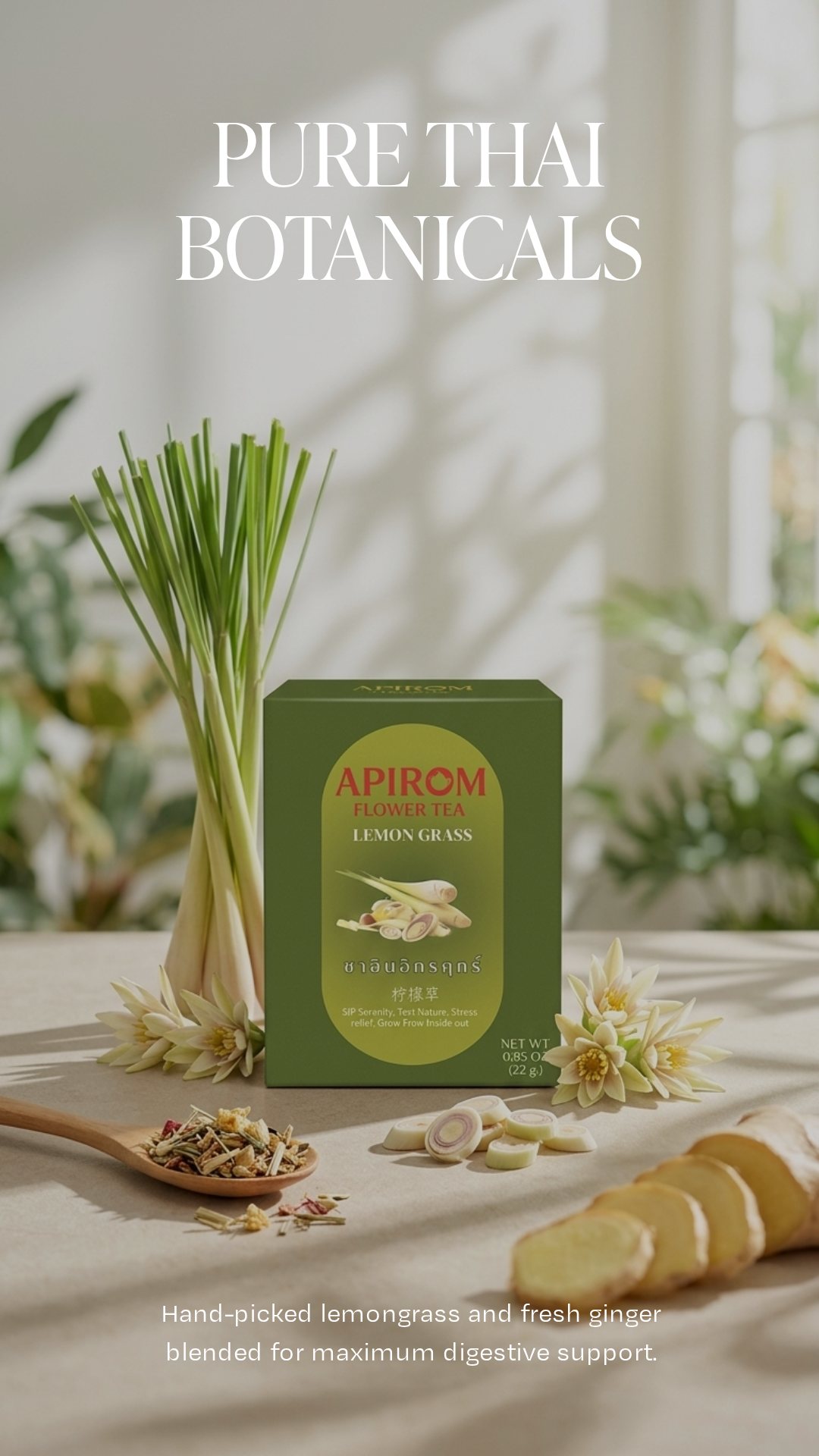 APIROM Initalit Lemon Grass Original Herbal Tea