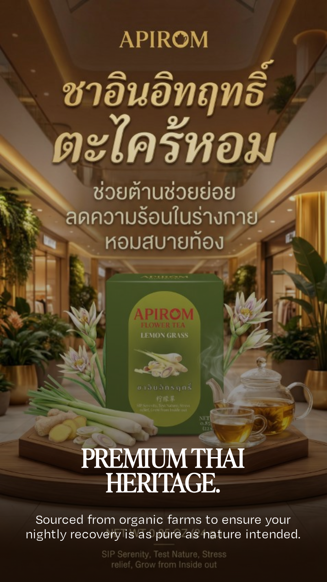 pomelli_creative_image_9_16_0429 (6).png