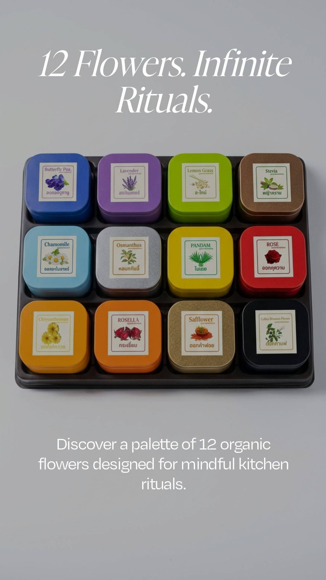 pomelli_creative_image_9_16_0417 (1)_0.png