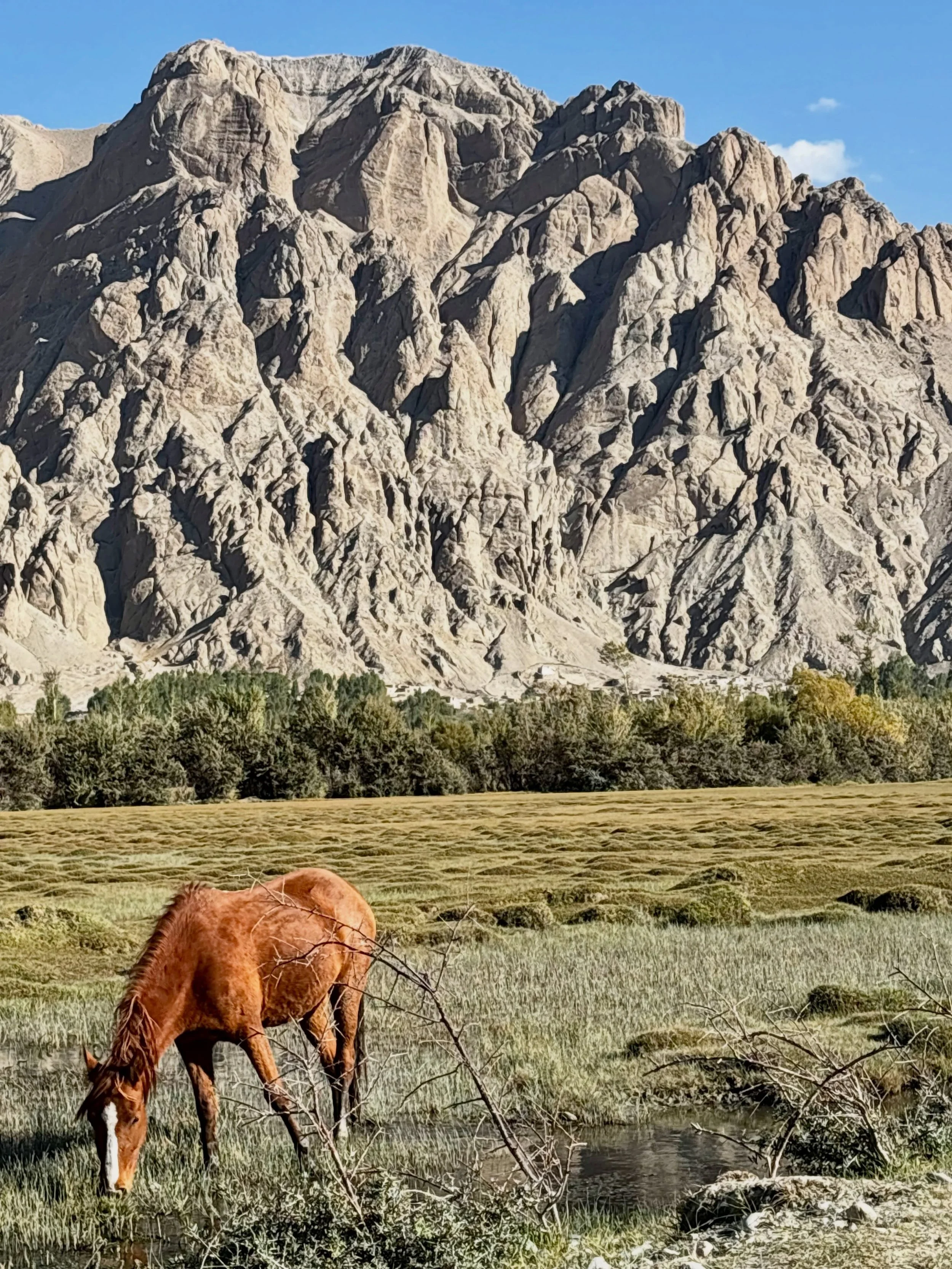 Zebok. #afghanodyssey #mountaintravel #slowtravel