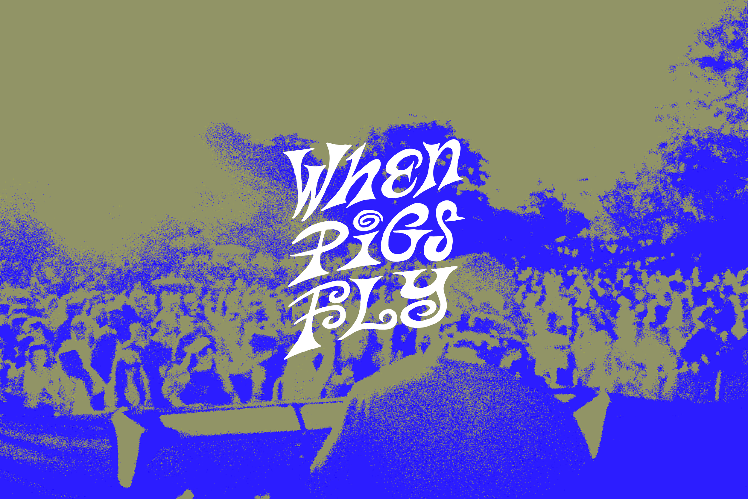 WHEN PIGS FLY MUSIC FESTIVAL