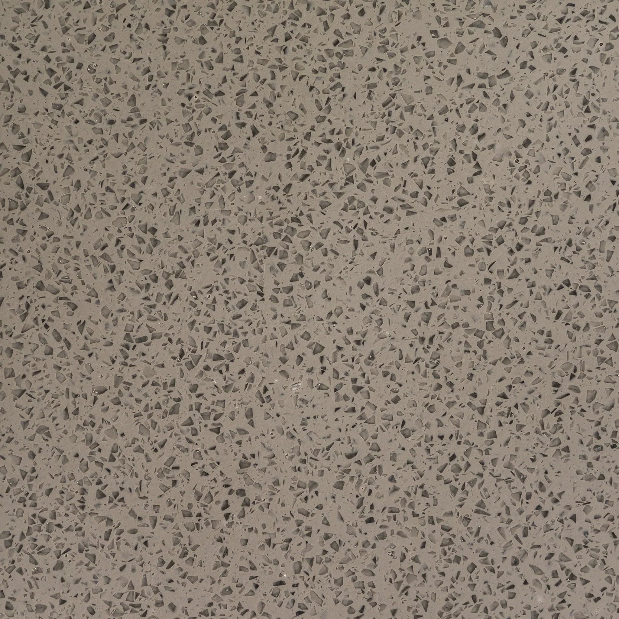 R019