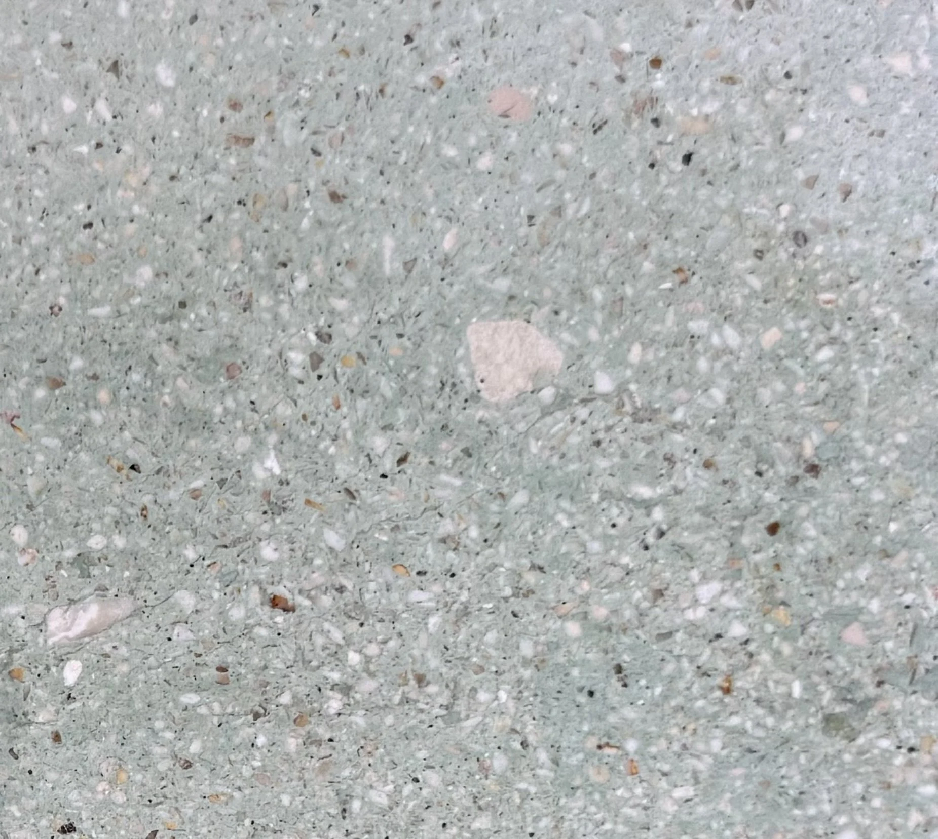 S010