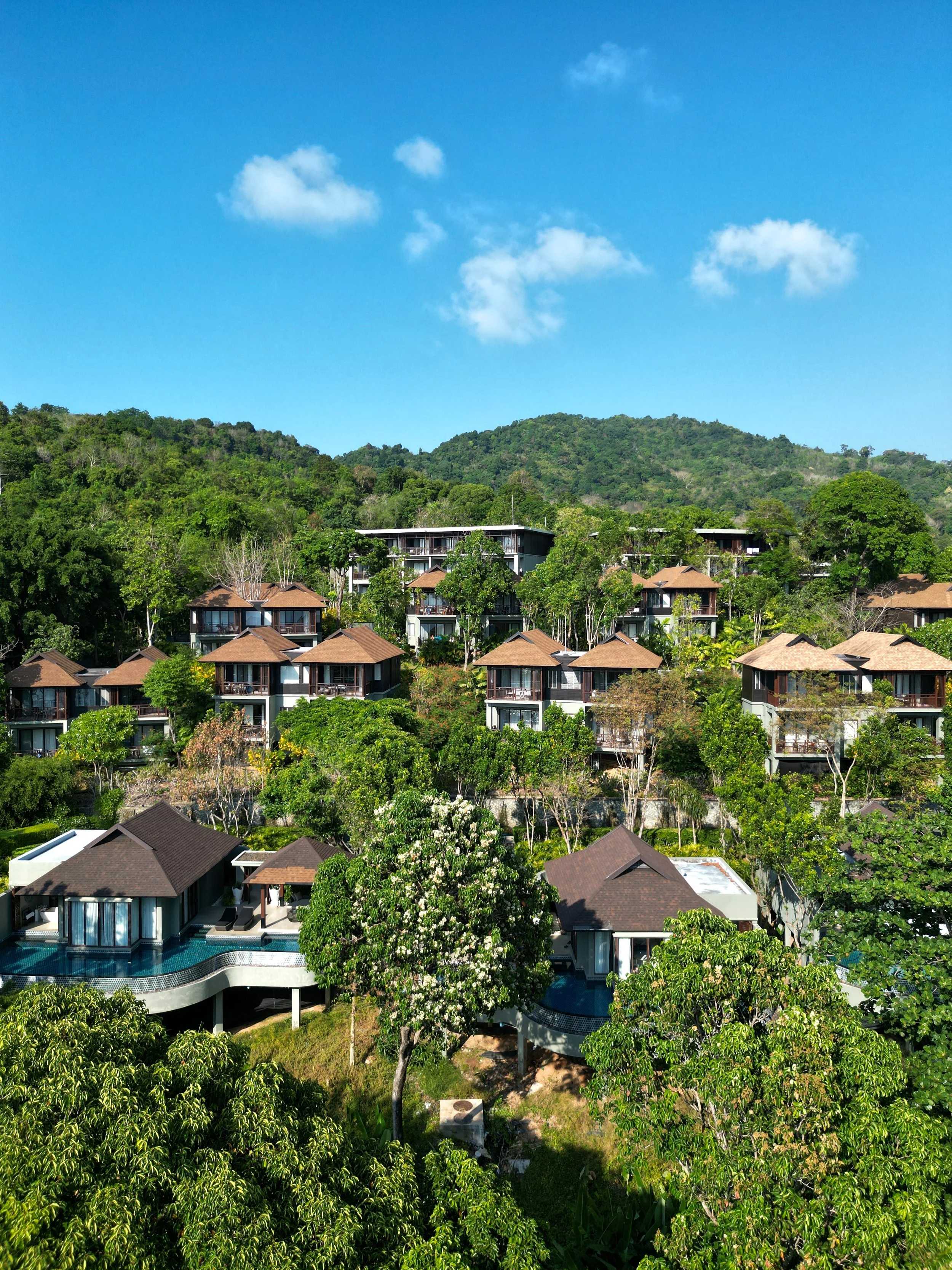 dji_fly_20260209_212454_612_1770542690670_photo 2.JPG