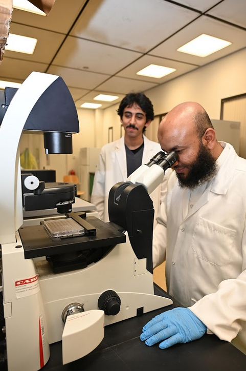 Two scientists working with a microscope in a laboratory, one closely examining through the microscope and the other observing.