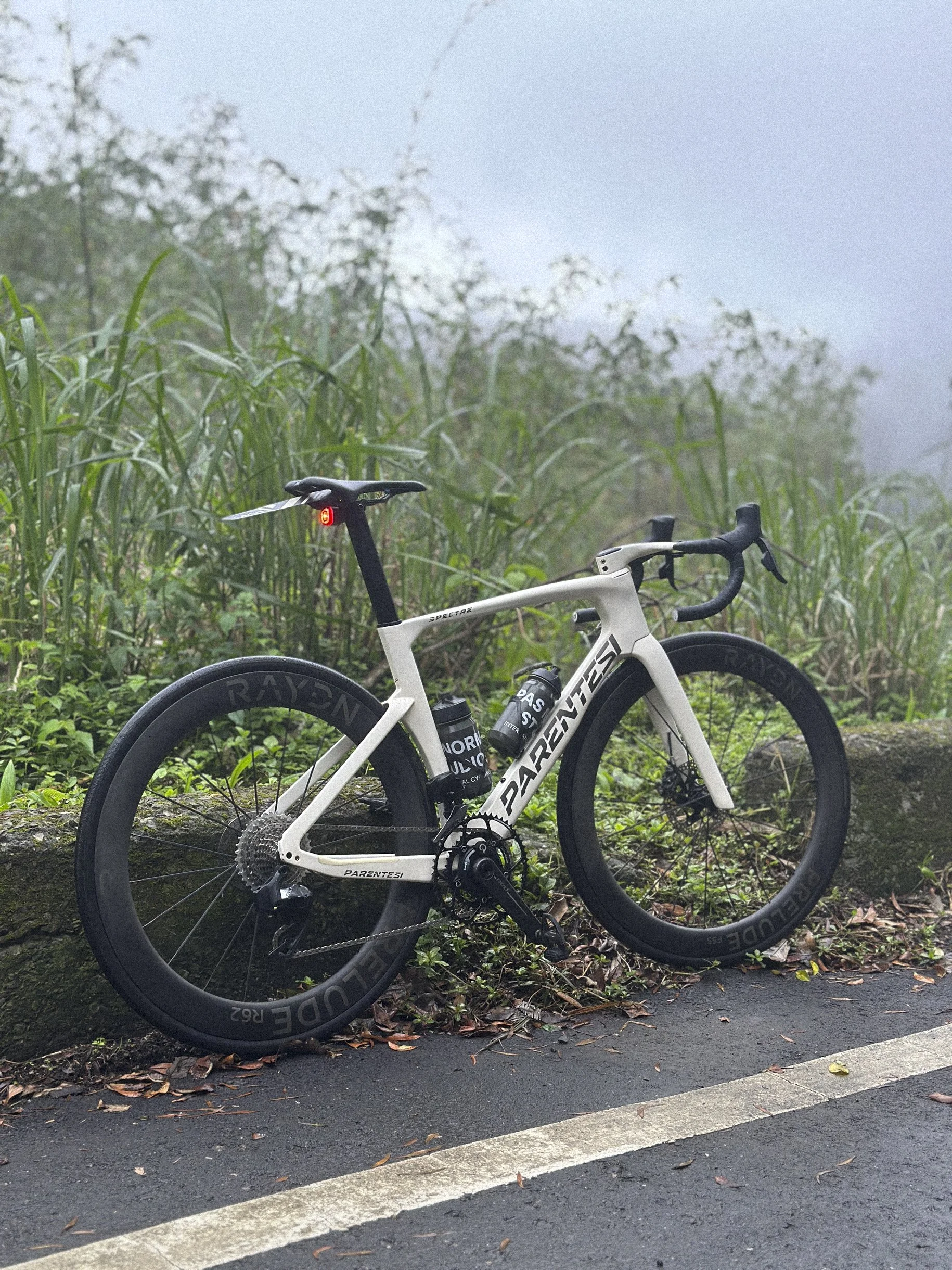 white and black PARENTESI bike with RAYEN wheels parked on the side of a road with grass and fog in the background.
