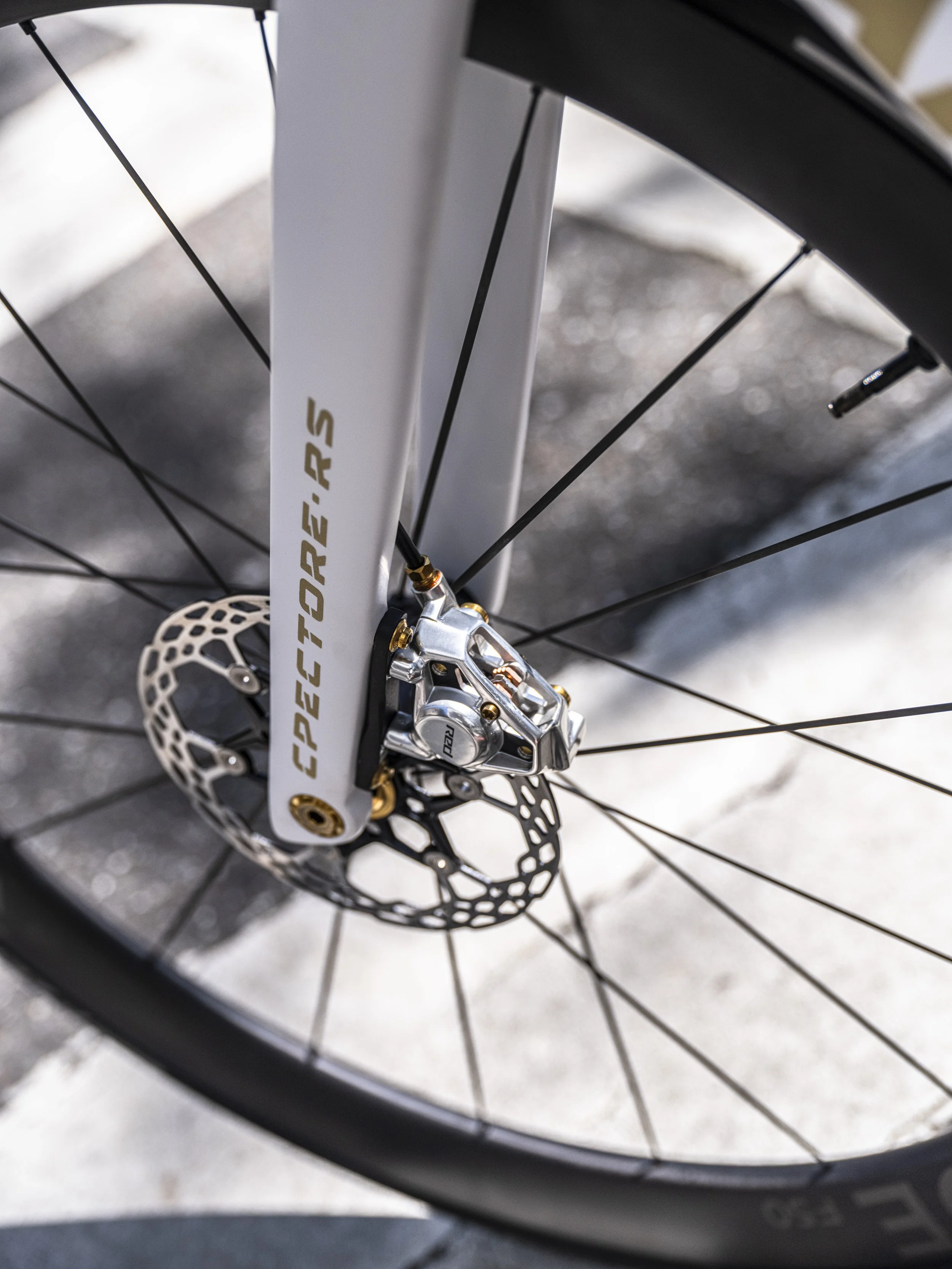 CPECTORE 23-0018.jpg