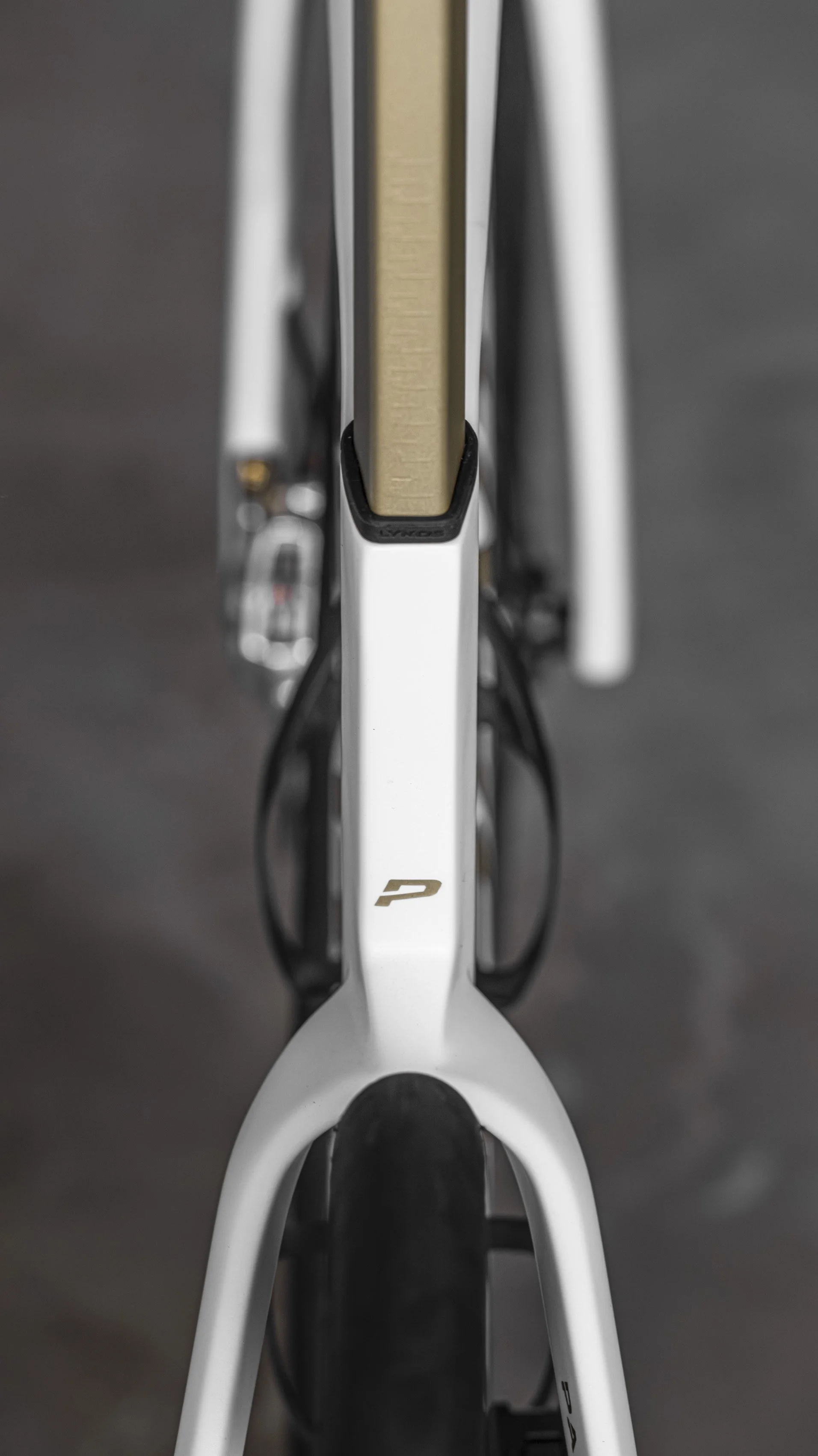 PARENTESI The Bike-0032.jpg