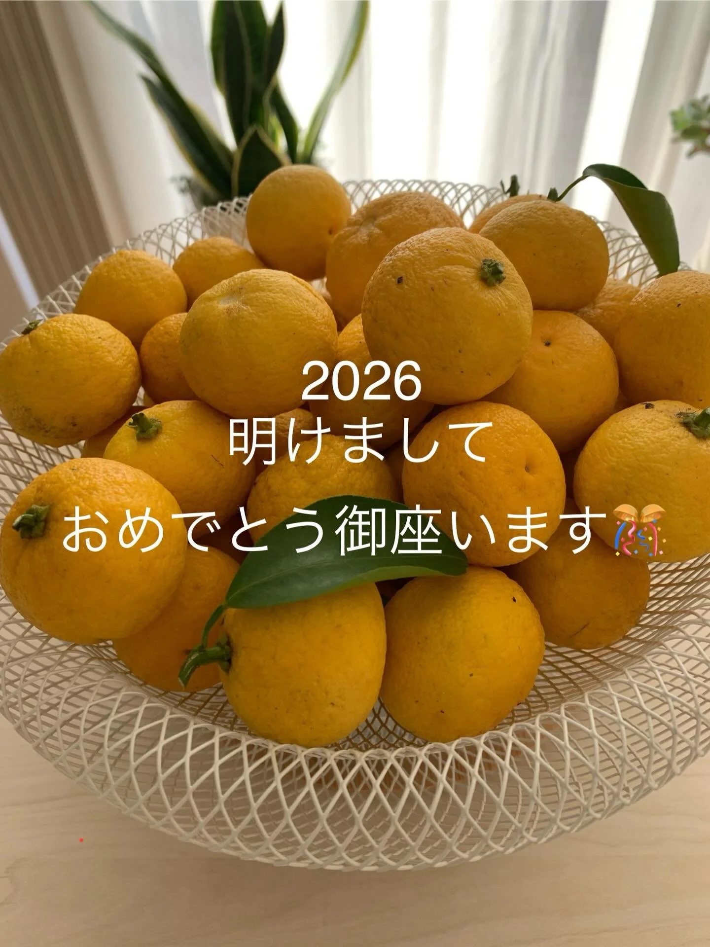 明けましておめでとう御座います🎊
旧年中は格別のご愛顧を賜り厚く御礼申し上げます。

4日より通常営業です☺︎
本年も宜しくお願いいたします。

#整体はりきゅう院のん
#蓮田
#蓮田駅
#個人店
#完全予約制