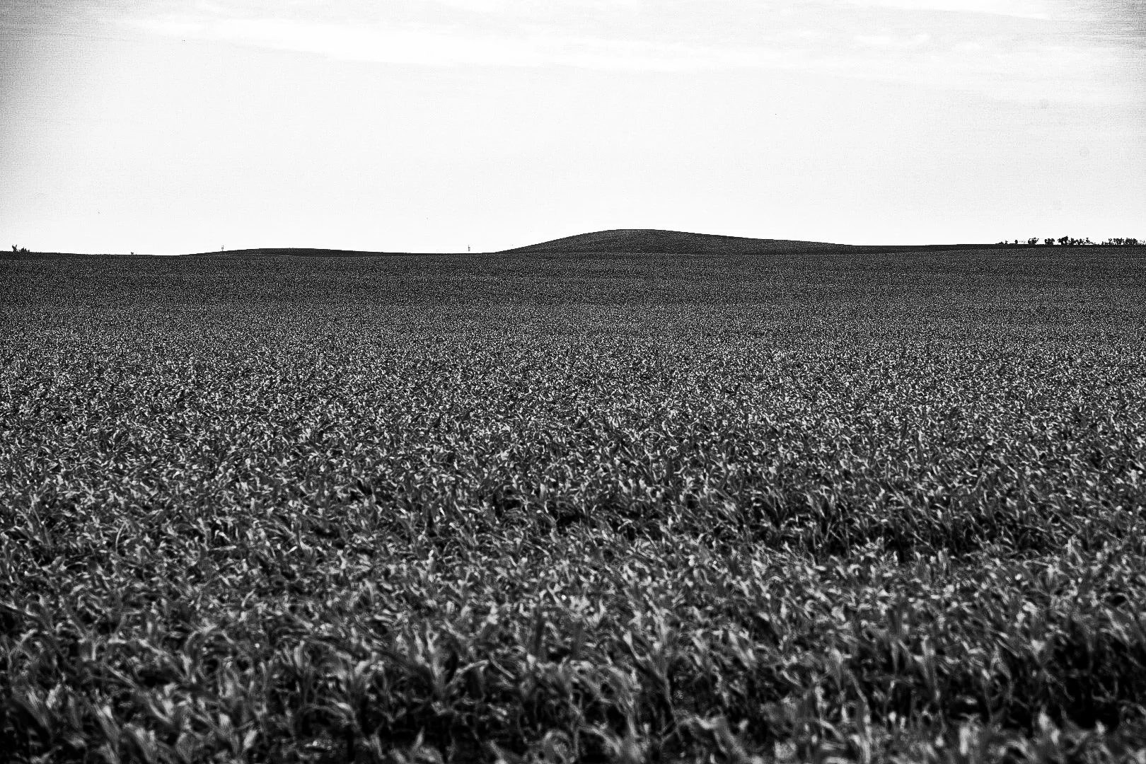 Day 14 - To Jamestown, ND