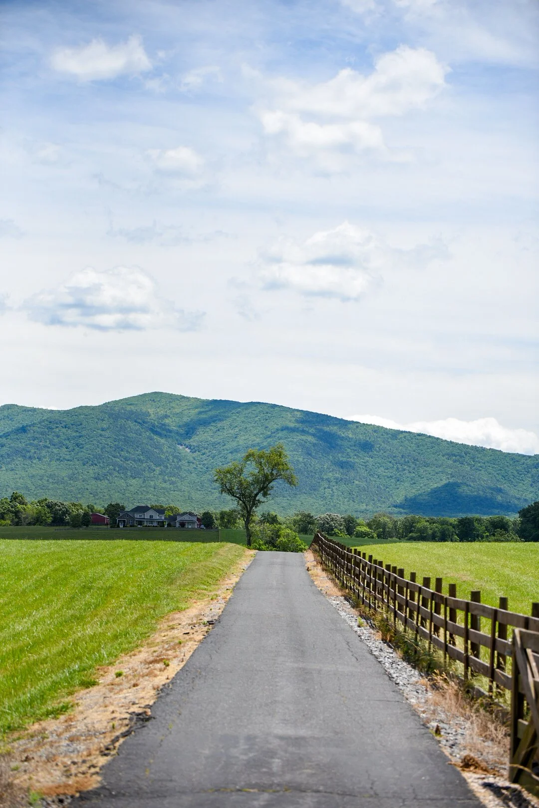 Day 6 - Over the Confederate Brick Road