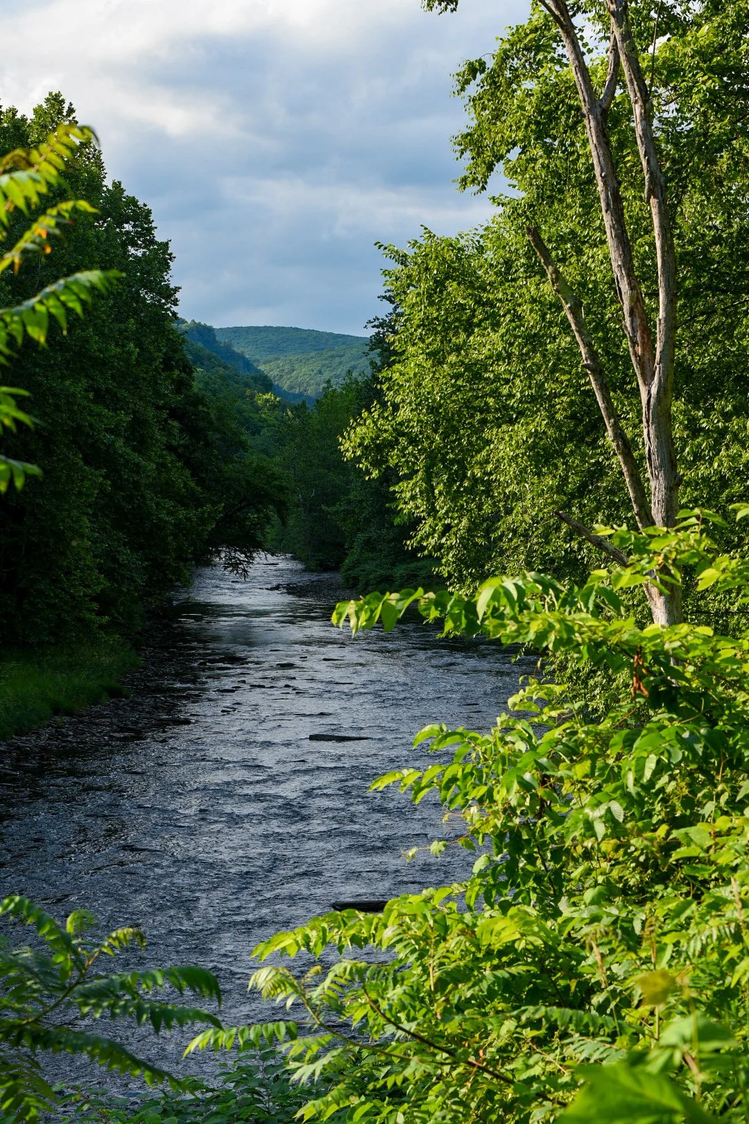 Day 17 - Williamsport to Ansonia