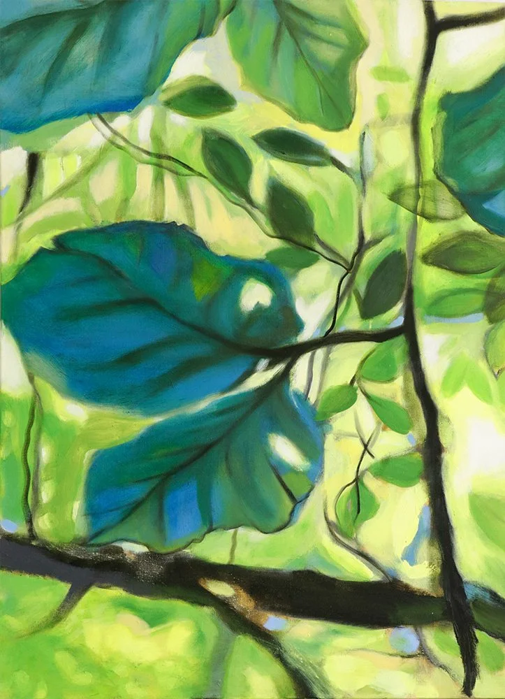 PoeTree | Dreamy Tree Tops 02 © CS