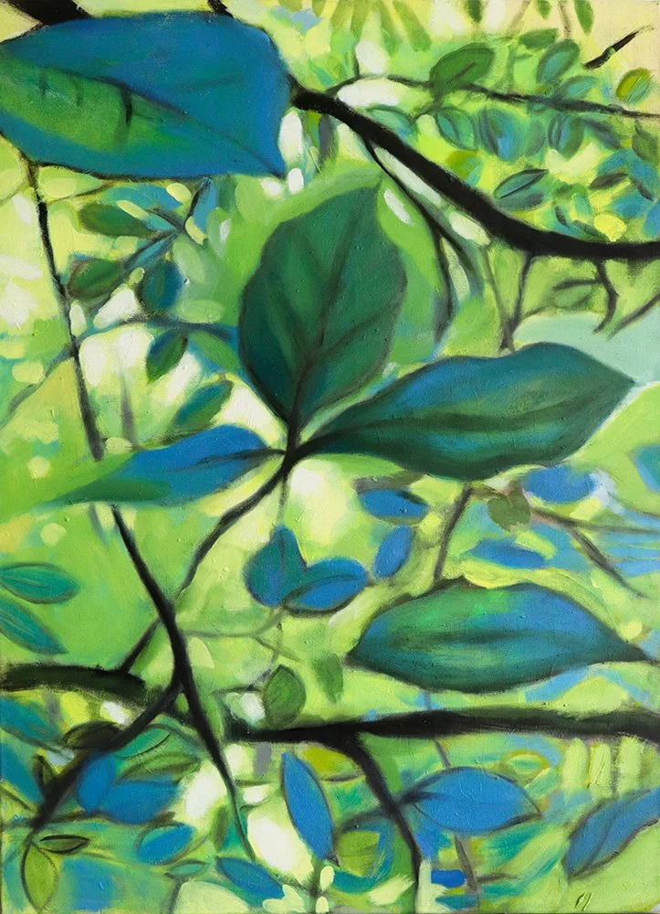 PoeTree | Dreamy Tree Tops 04 © CS
