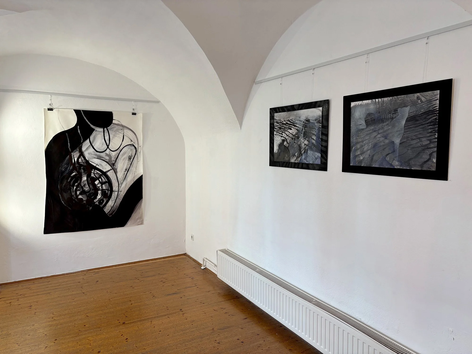Ausstellung in Fürstenfeld 2026.jpg