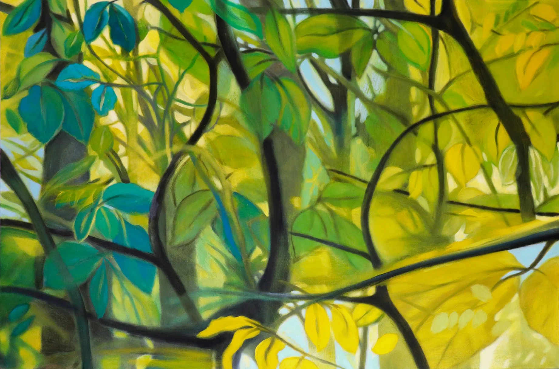PoeTree | Dreamy Tree Tops 12 © CS