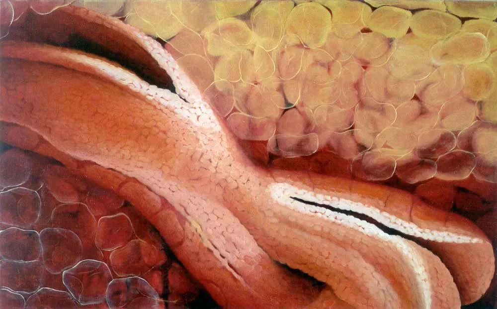 CS_Fruchtsäfte Serie_04, 2003, oil on canvas.jpg